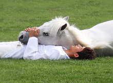 Relaxing with Horse